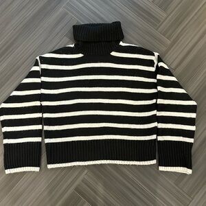 Z Supply Josephine Stripe Turtleneck Sweater